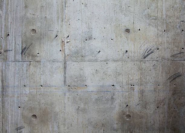 Best Custom Concrete Contractor  in Folkston, GA